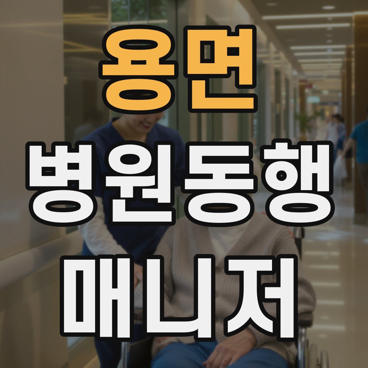 용면 병원동행매니저 자격증