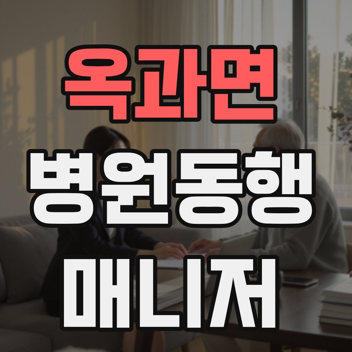 옥과면 병원동행매니저 자격증