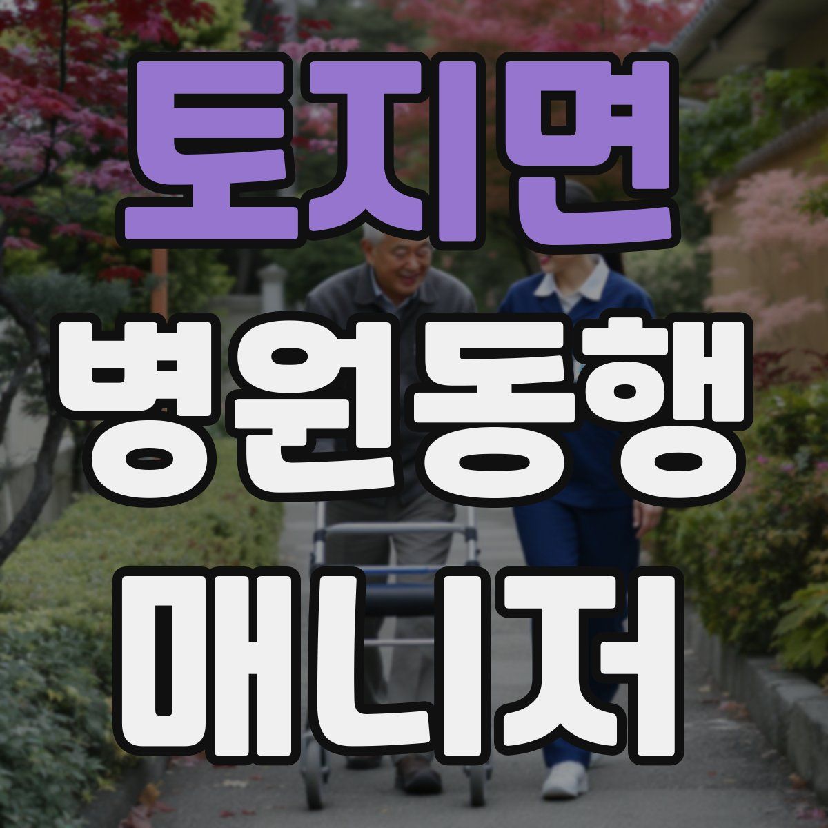 토지면 병원동행매니저 자격증