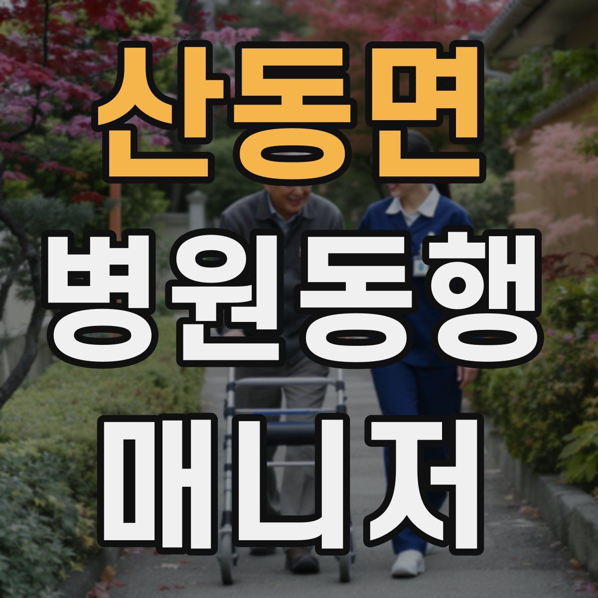 산동면 병원동행매니저 자격증