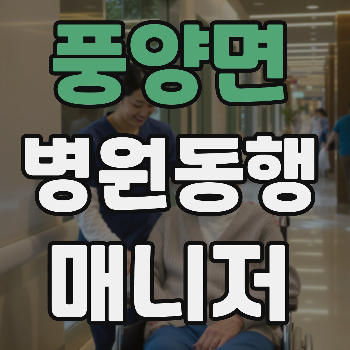 풍양면 병원동행매니저 자격증