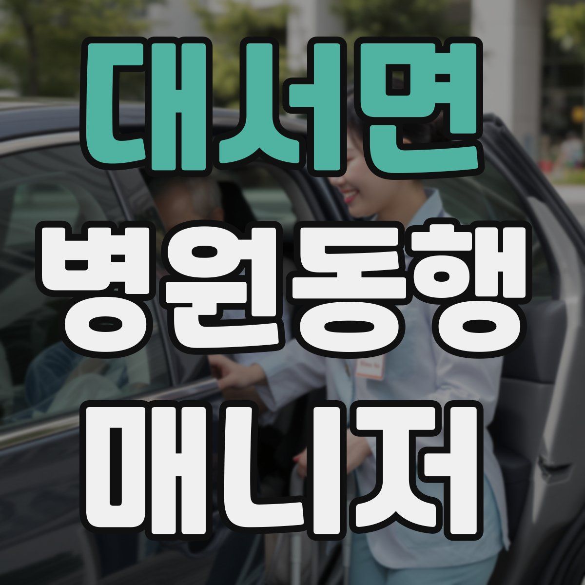 대서면 병원동행매니저 자격증