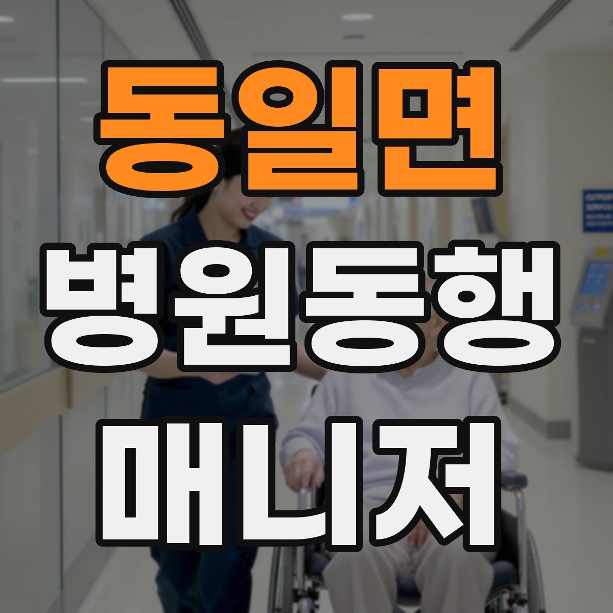 동일면 병원동행매니저 자격증