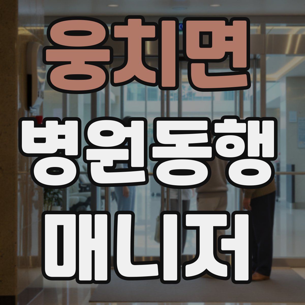 웅치면 병원동행매니저 자격증