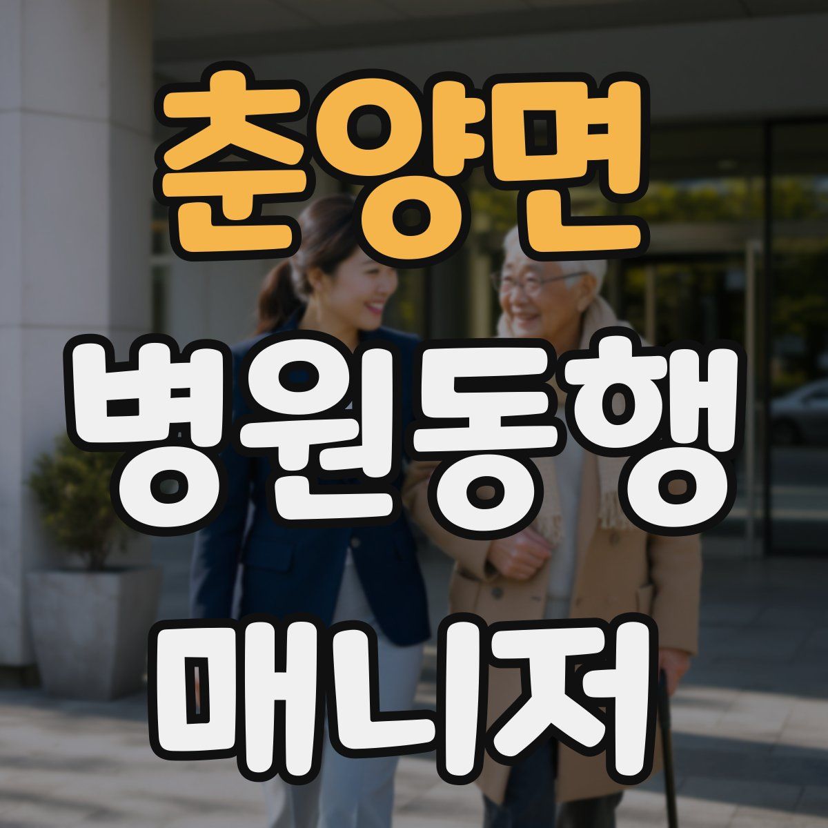 춘양면 병원동행매니저 자격증