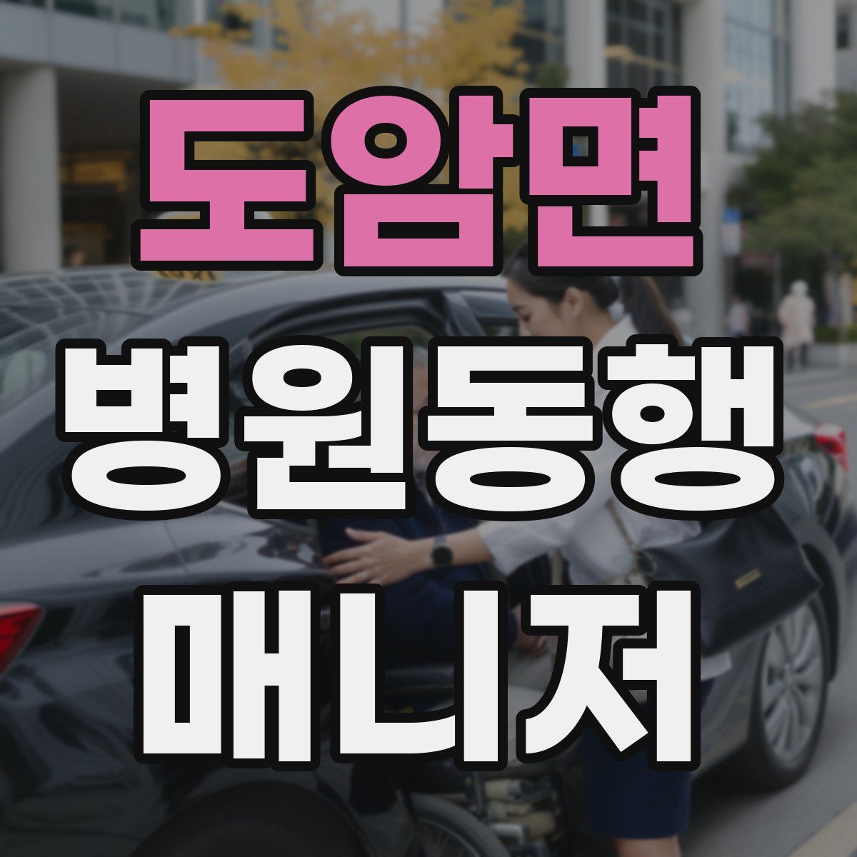 도암면 병원동행매니저 자격증