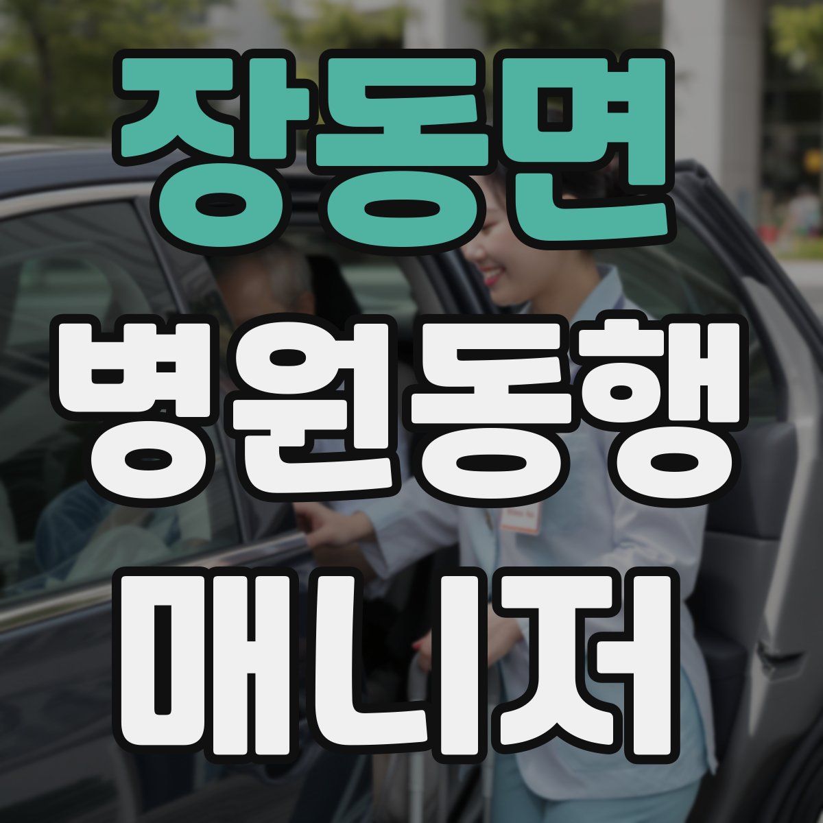 장동면 병원동행매니저 자격증