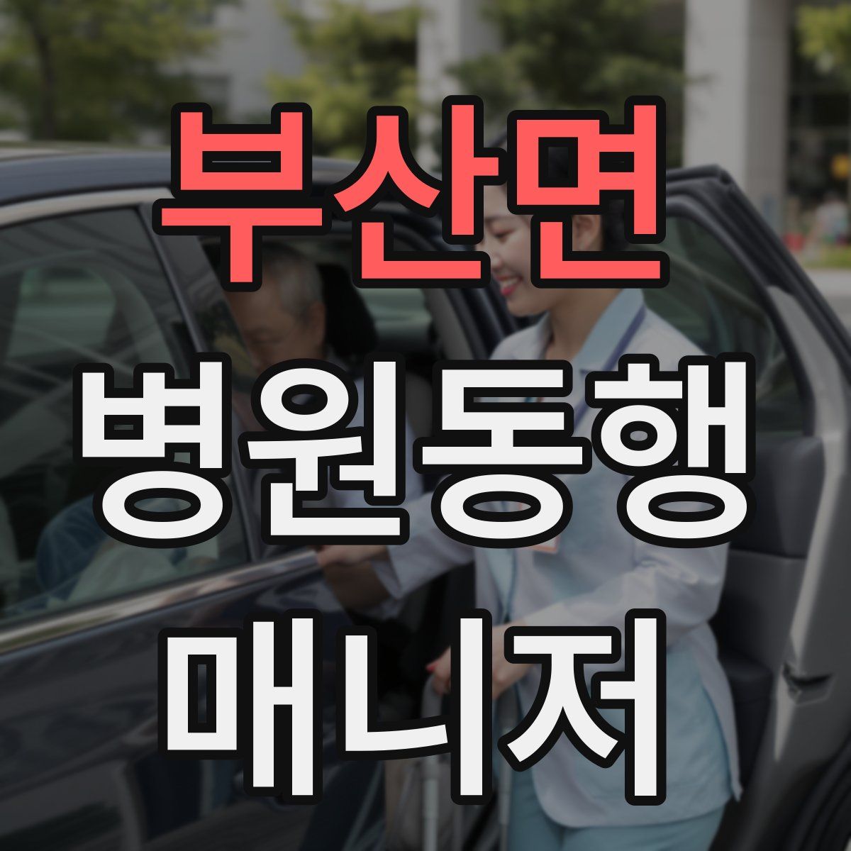 부산면 병원동행매니저 자격증