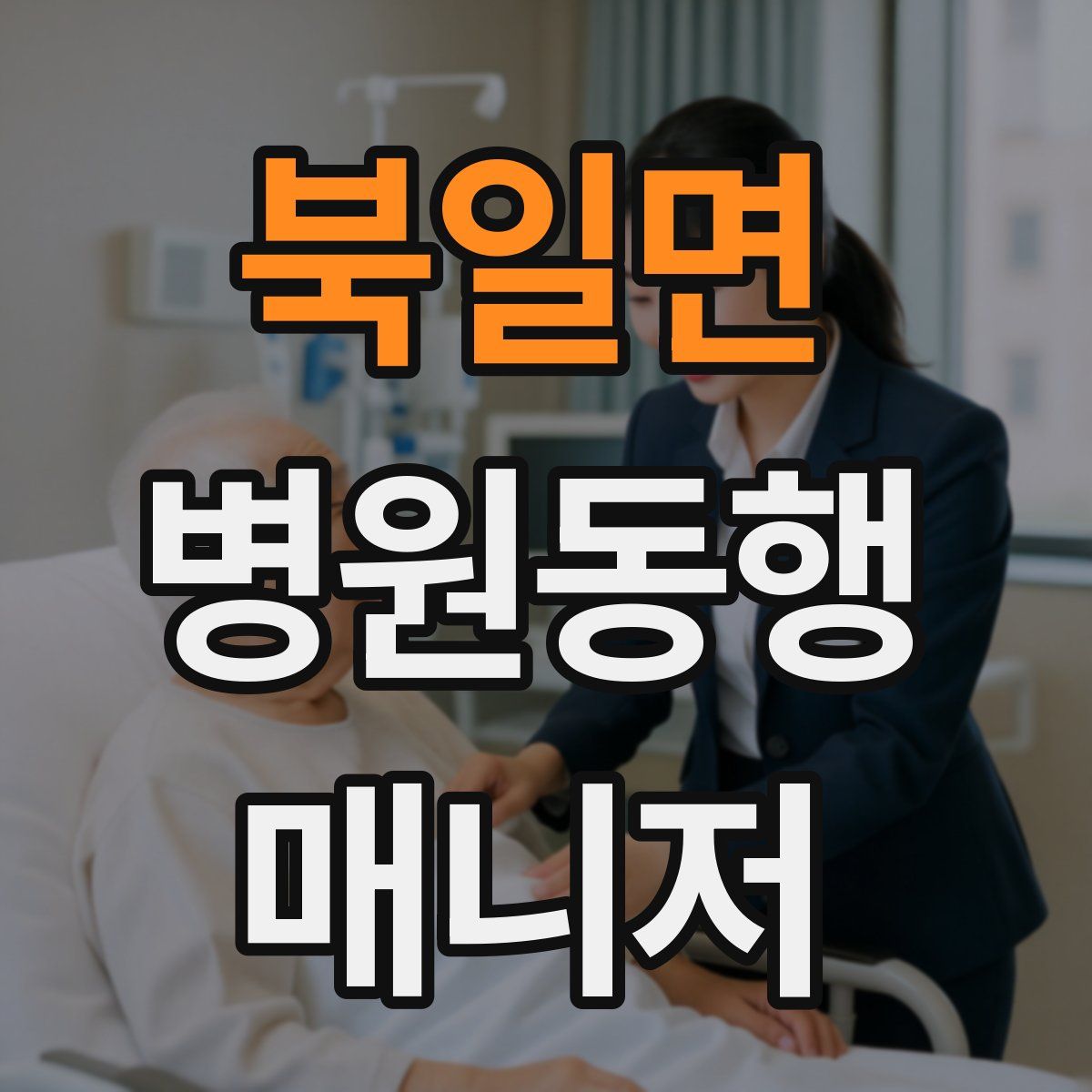 북일면 병원동행매니저 자격증
