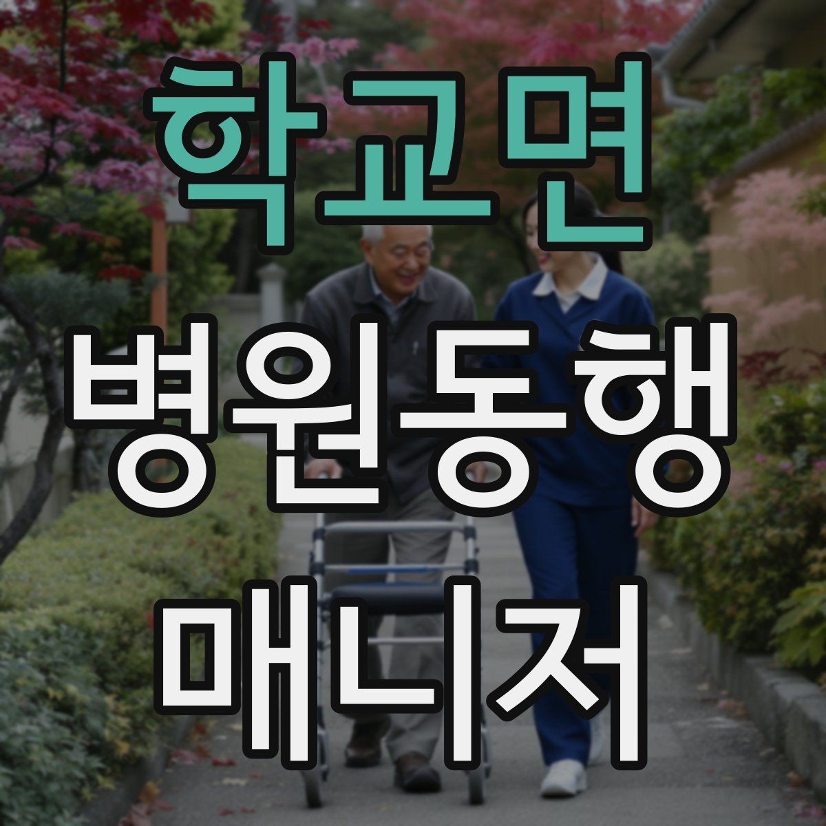 학교면 병원동행매니저 자격증 택시 호출이 어려운 시간대 대처