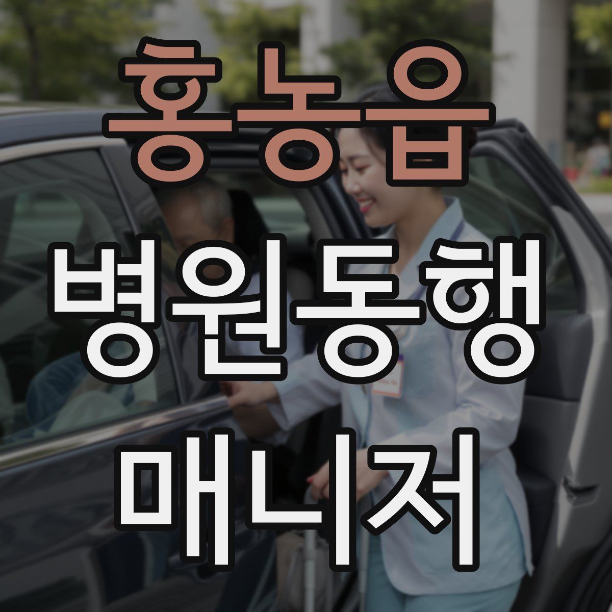 홍농읍 병원동행매니저 자격증