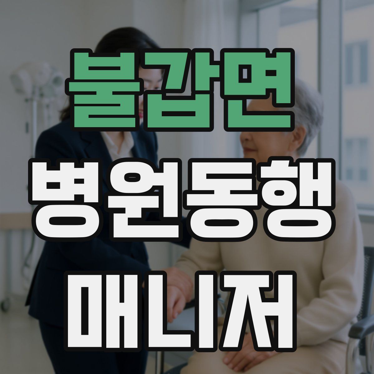 불갑면 병원동행매니저 자격증