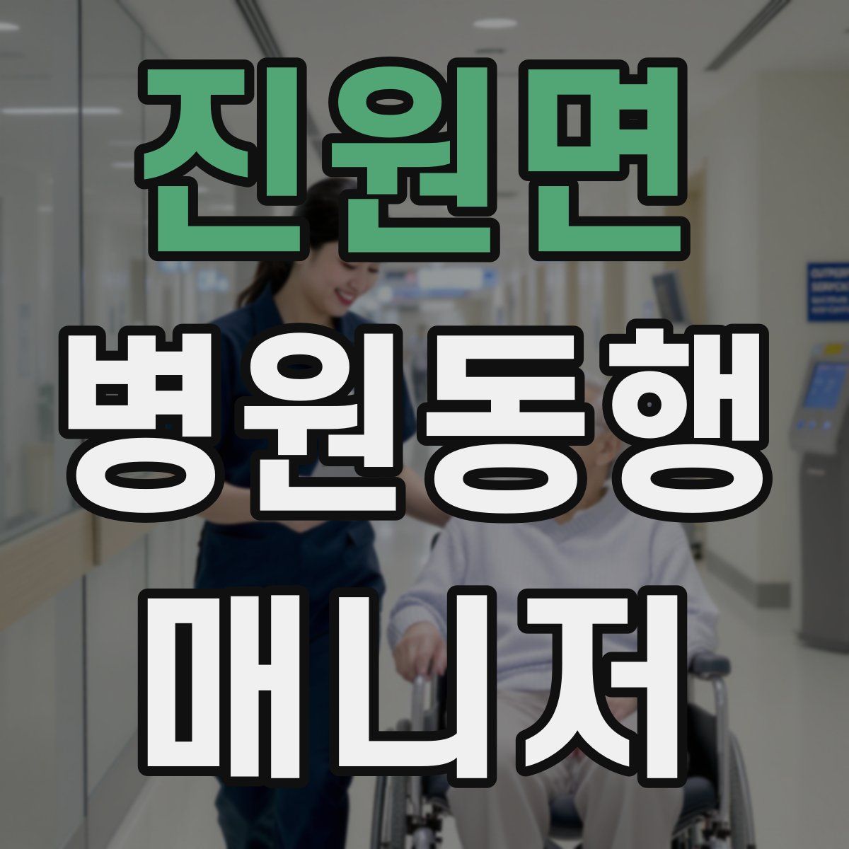 진원면 병원동행매니저 자격증