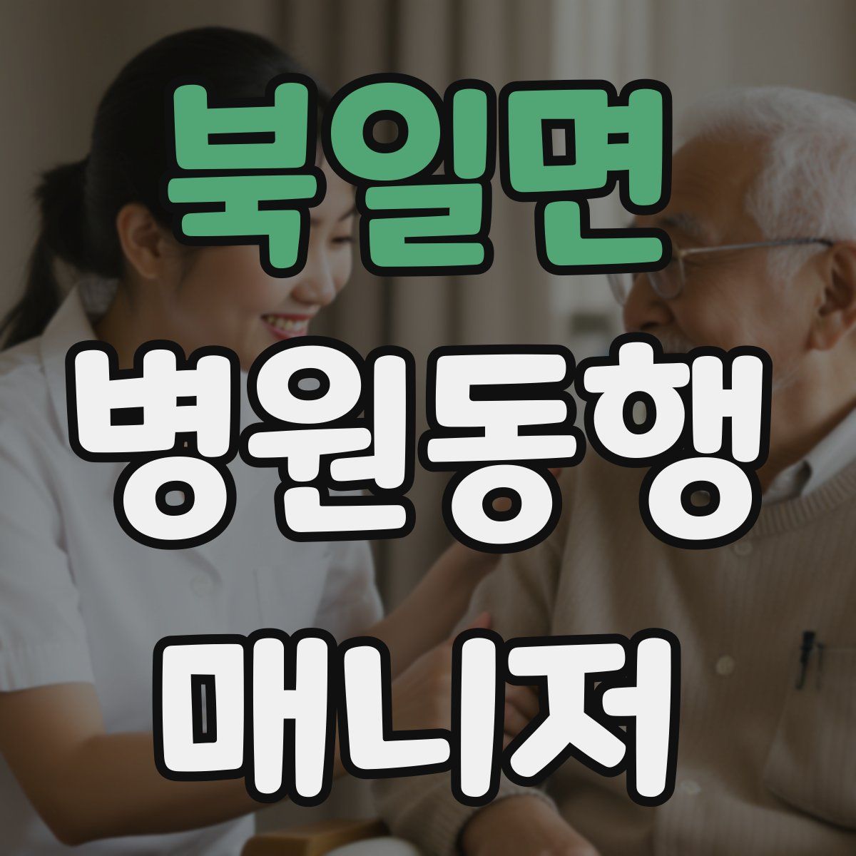 북일면 병원동행매니저 자격증