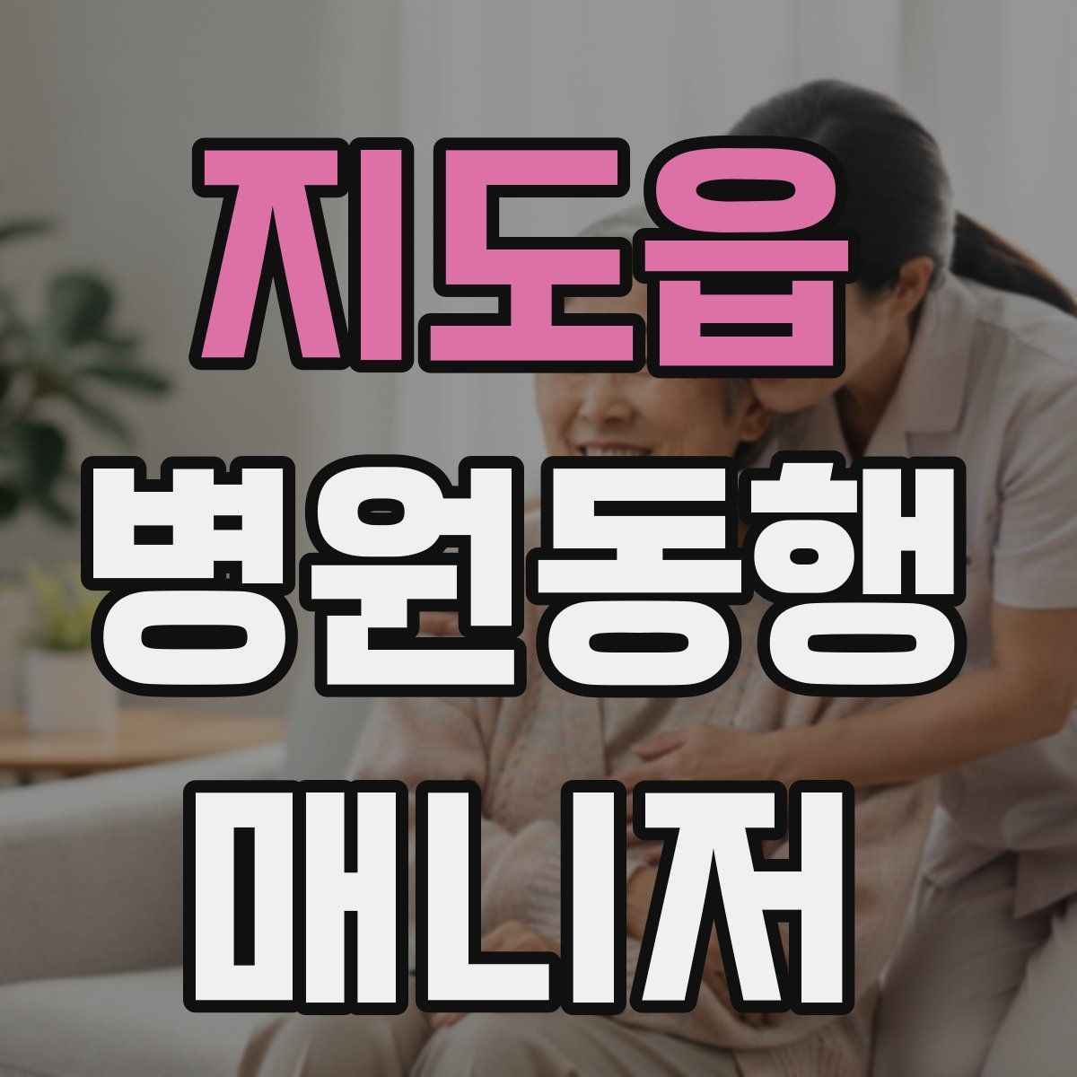 지도읍 병원동행매니저 자격증