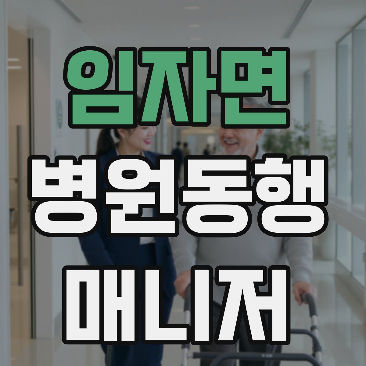 임자면 병원동행매니저 자격증