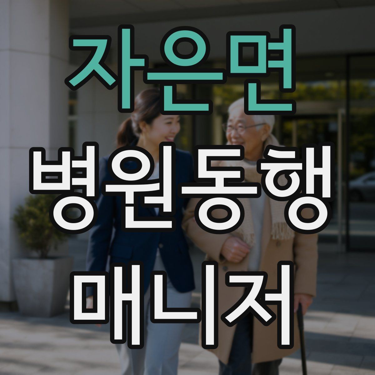 자은면 병원동행매니저 자격증 준비부터 첫 동행까지 한 번에 정리