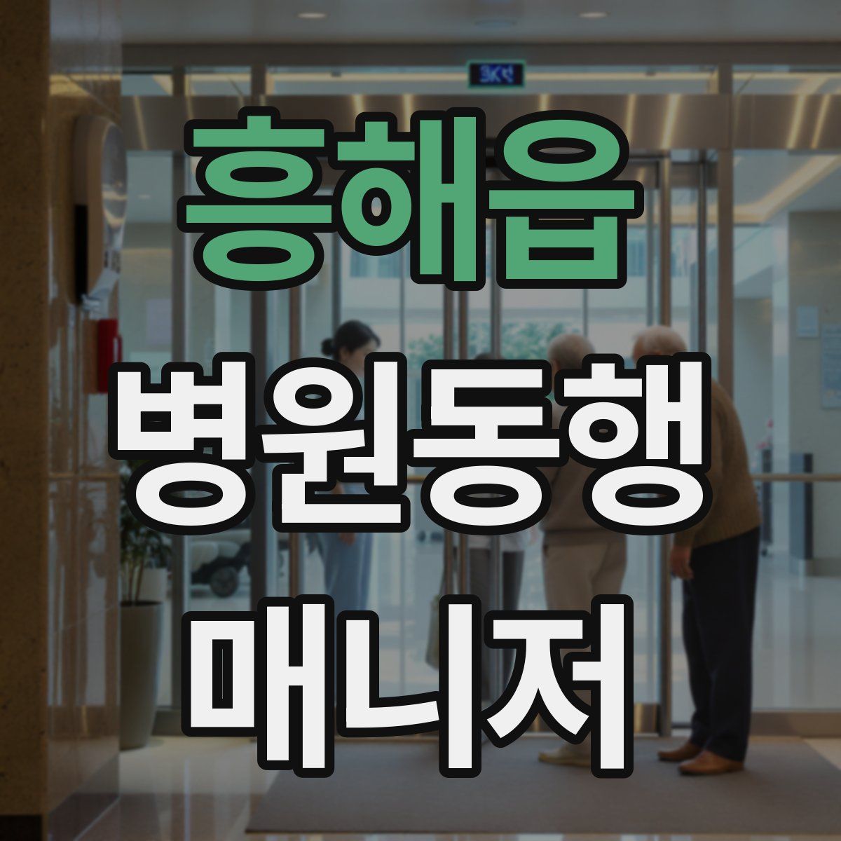 흥해읍 병원동행매니저 자격증