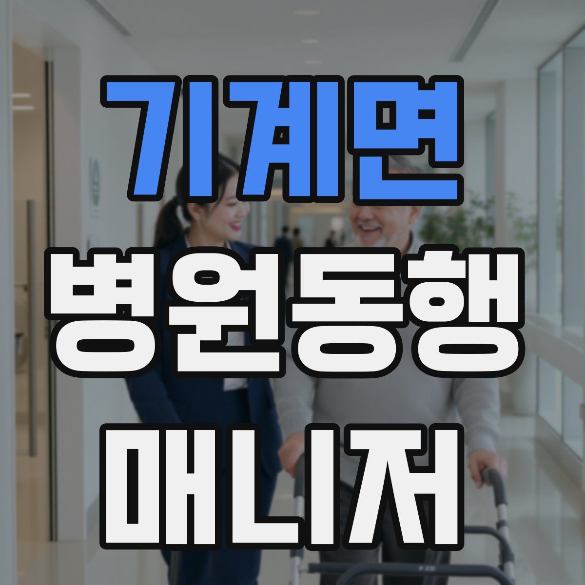 기계면 병원동행매니저 자격증