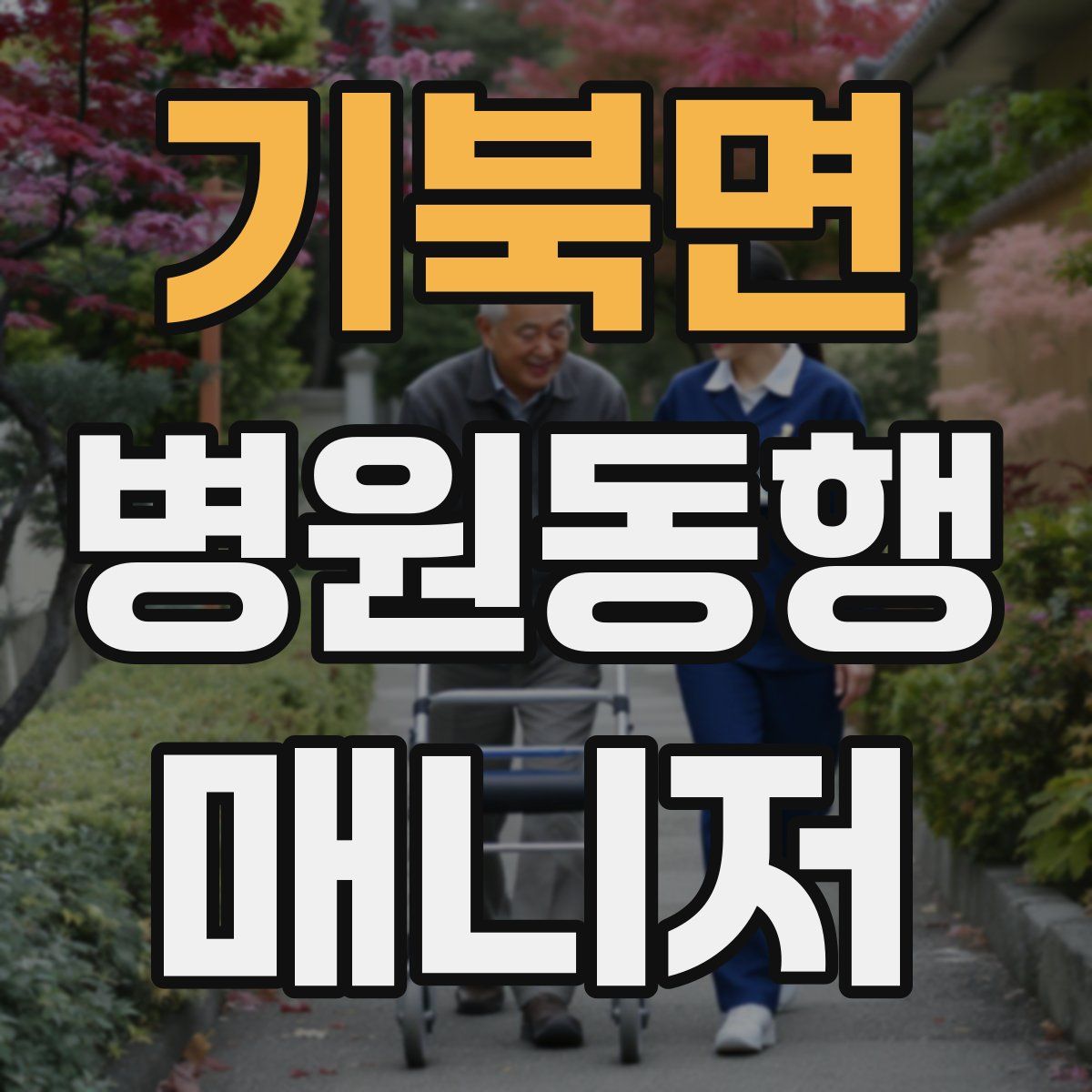기북면 병원동행매니저 자격증