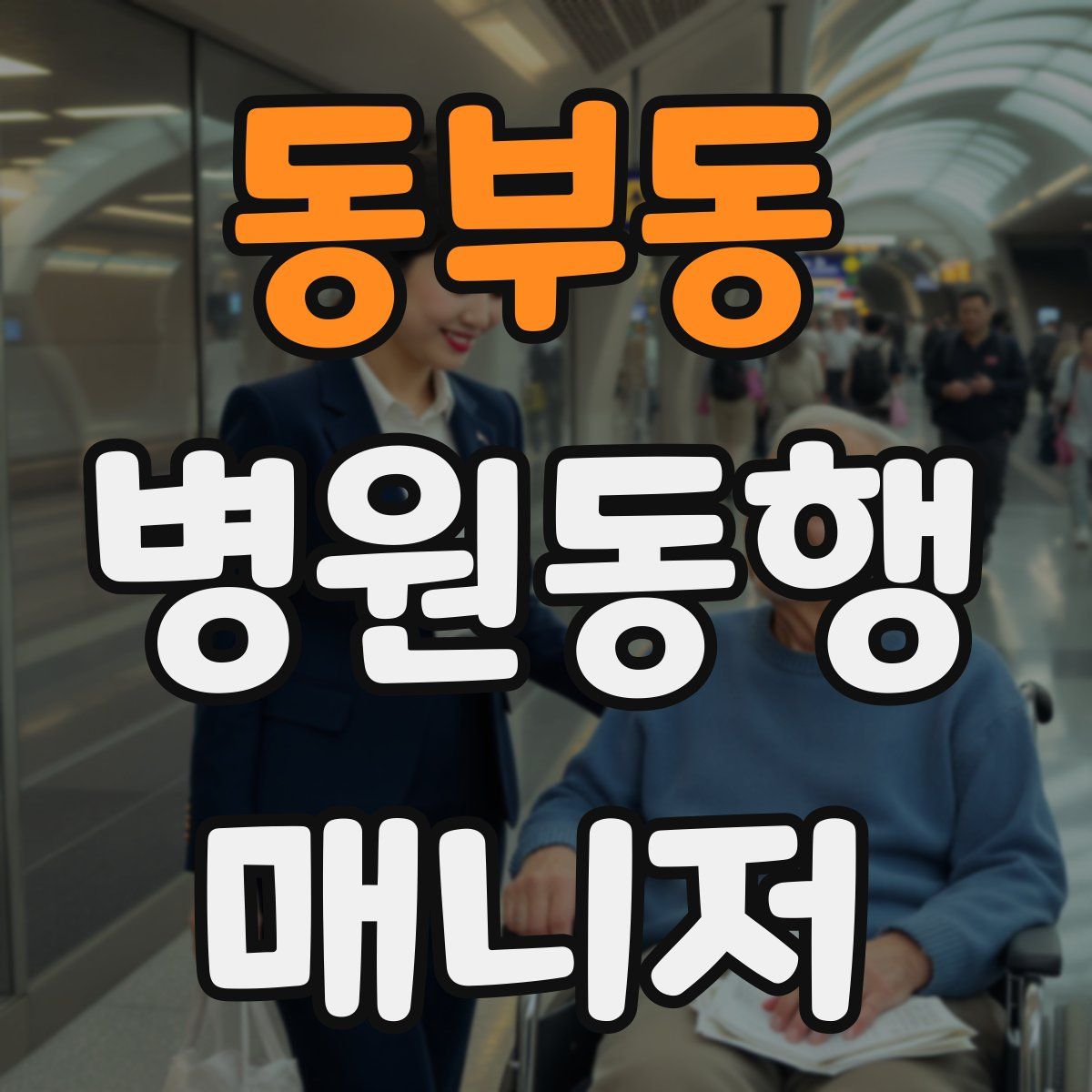 동부동 병원동행매니저 자격증