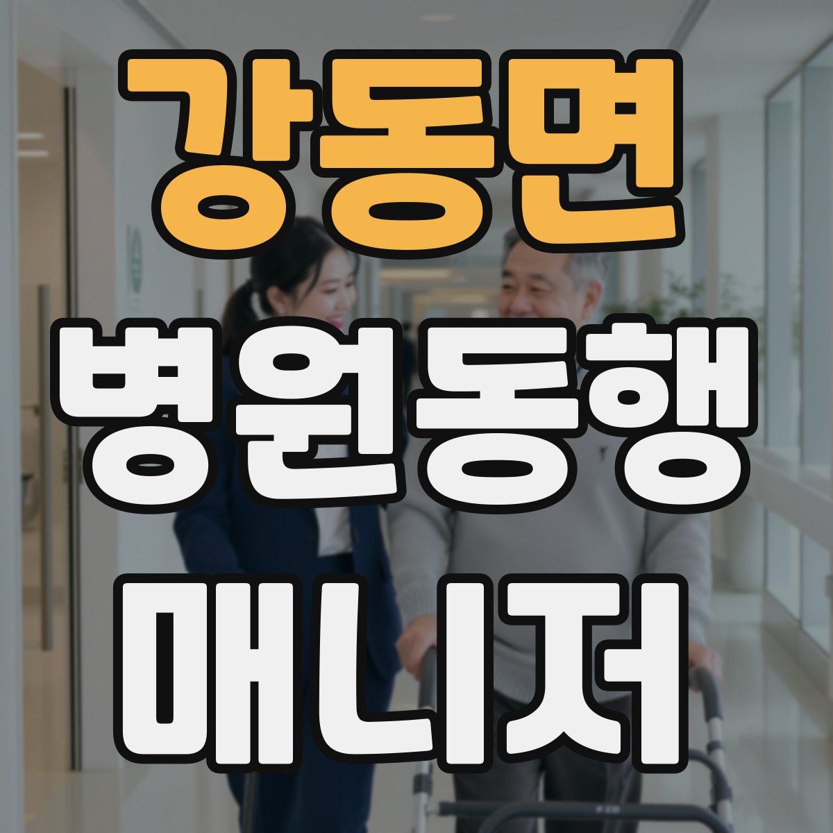 강동면 병원동행매니저 자격증