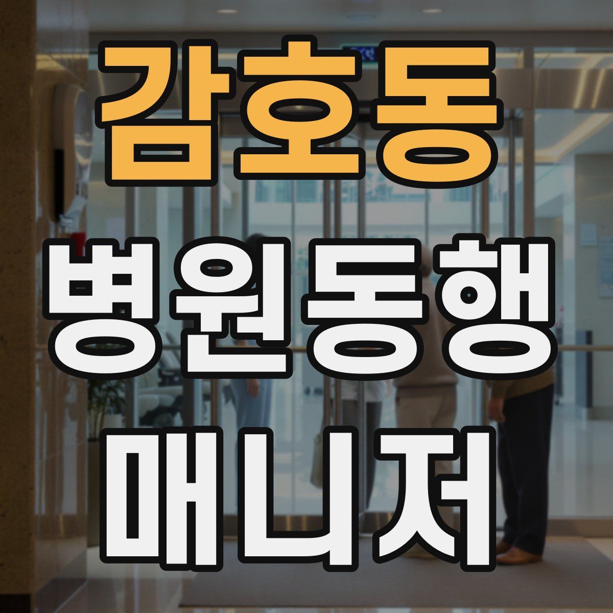 감호동 병원동행매니저 자격증