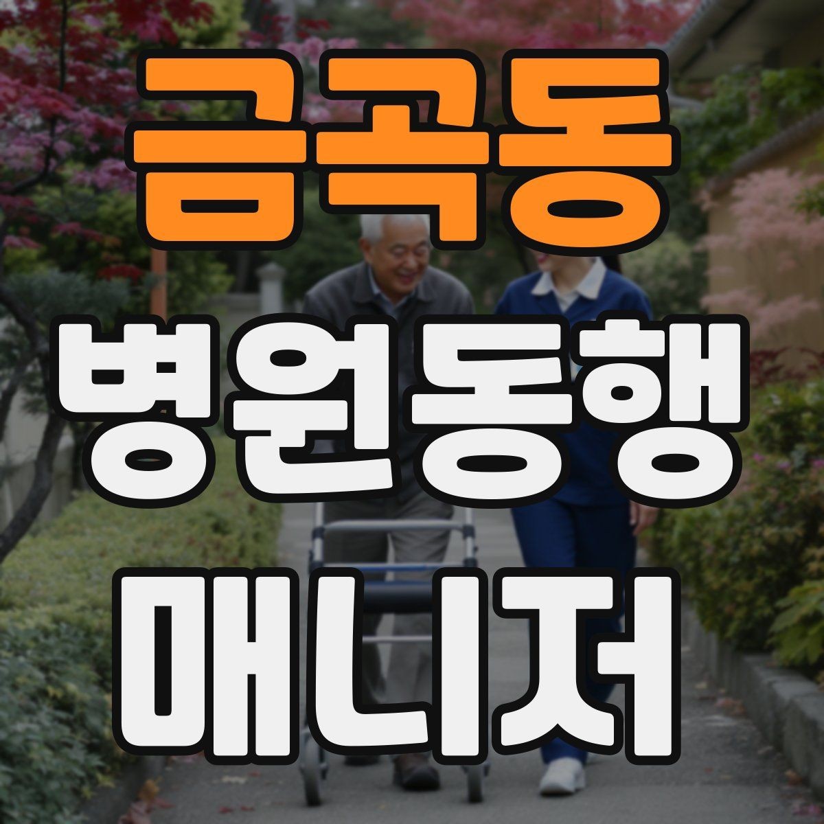 금곡동 병원동행매니저 자격증 병원 주차가 어려울 때 대처