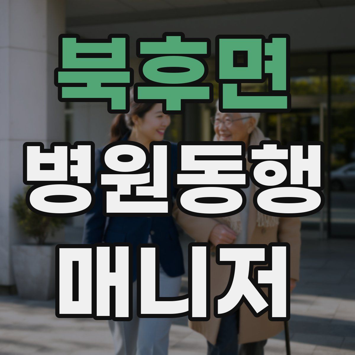 북후면 병원동행매니저 자격증