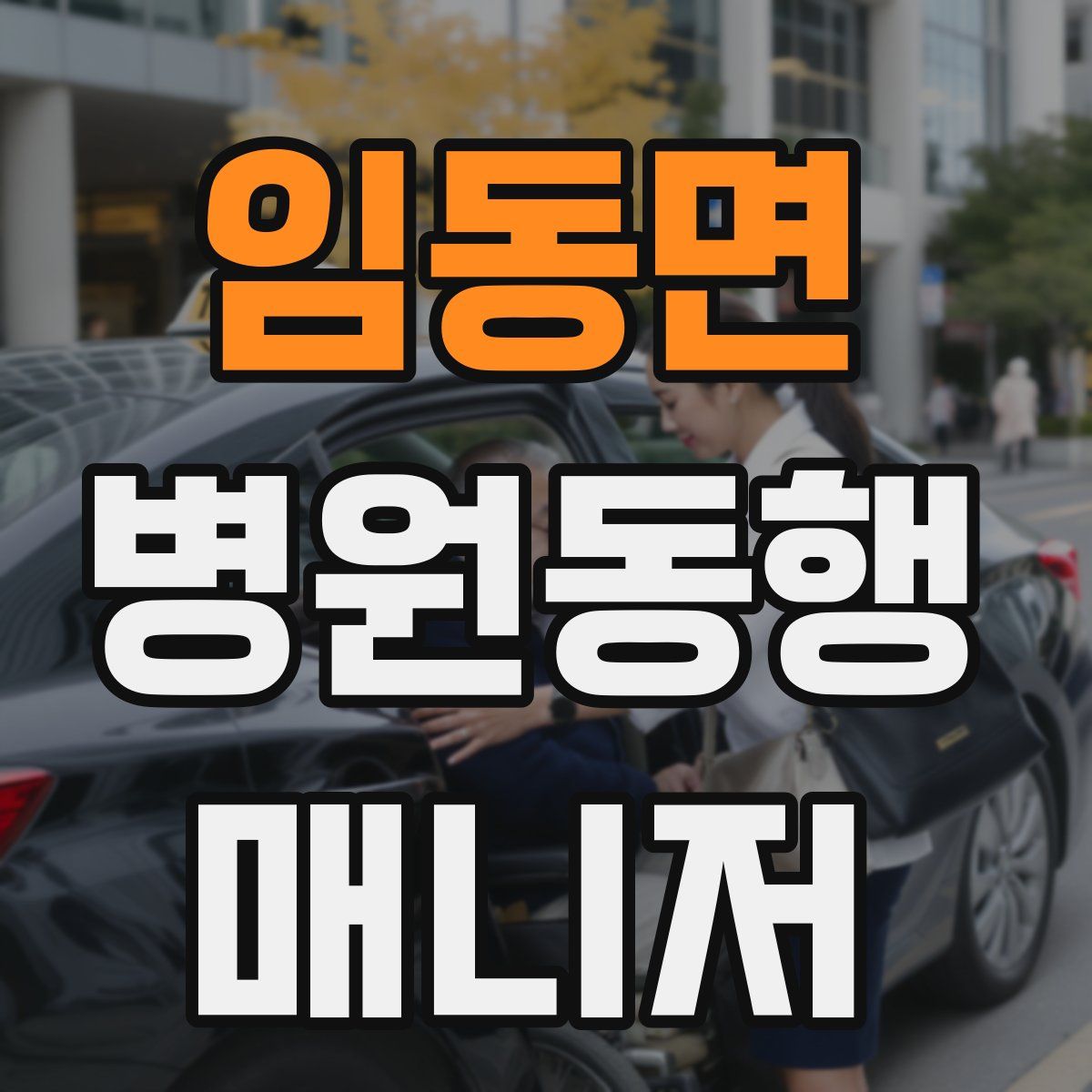 임동면 병원동행매니저 자격증