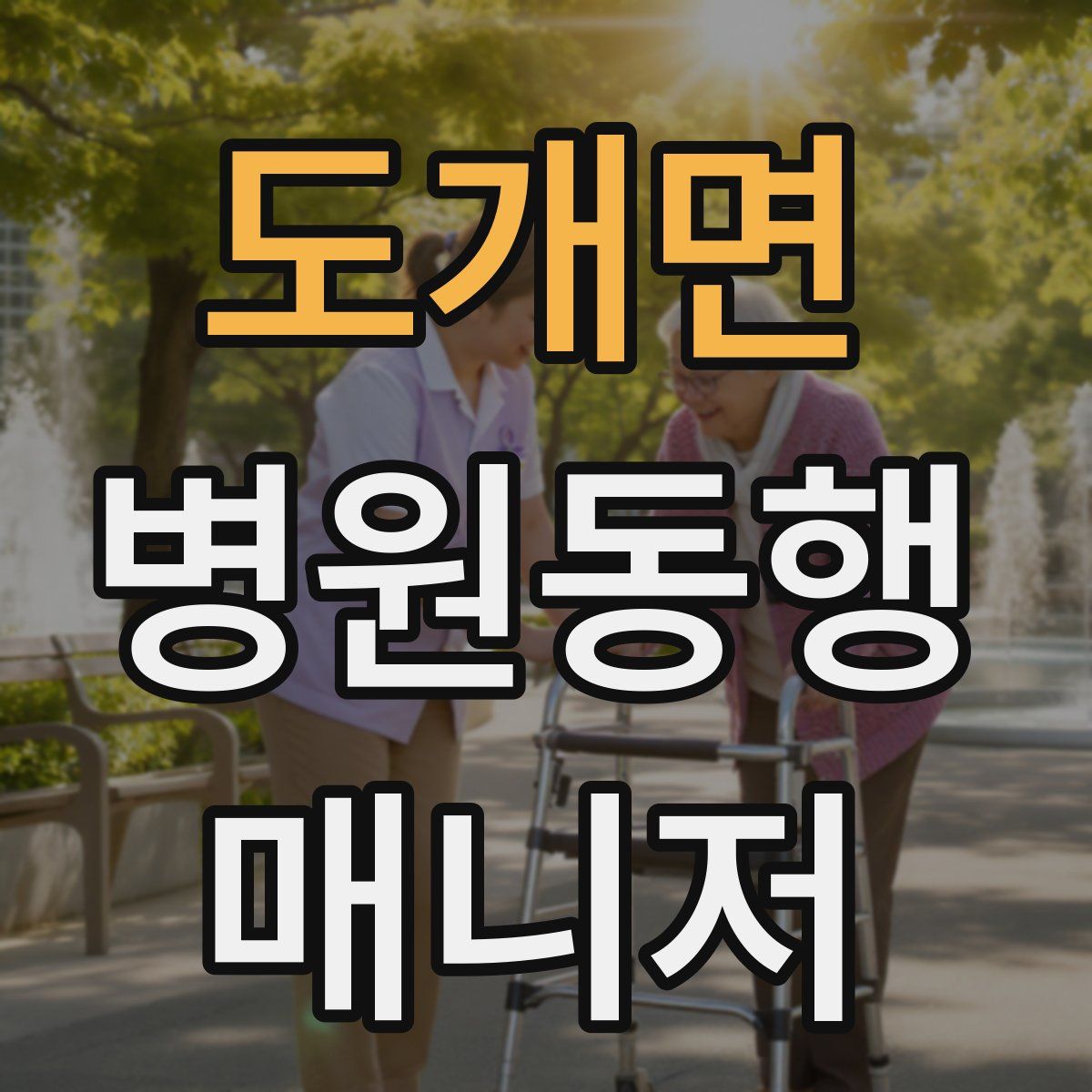 도개면 병원동행매니저 자격증