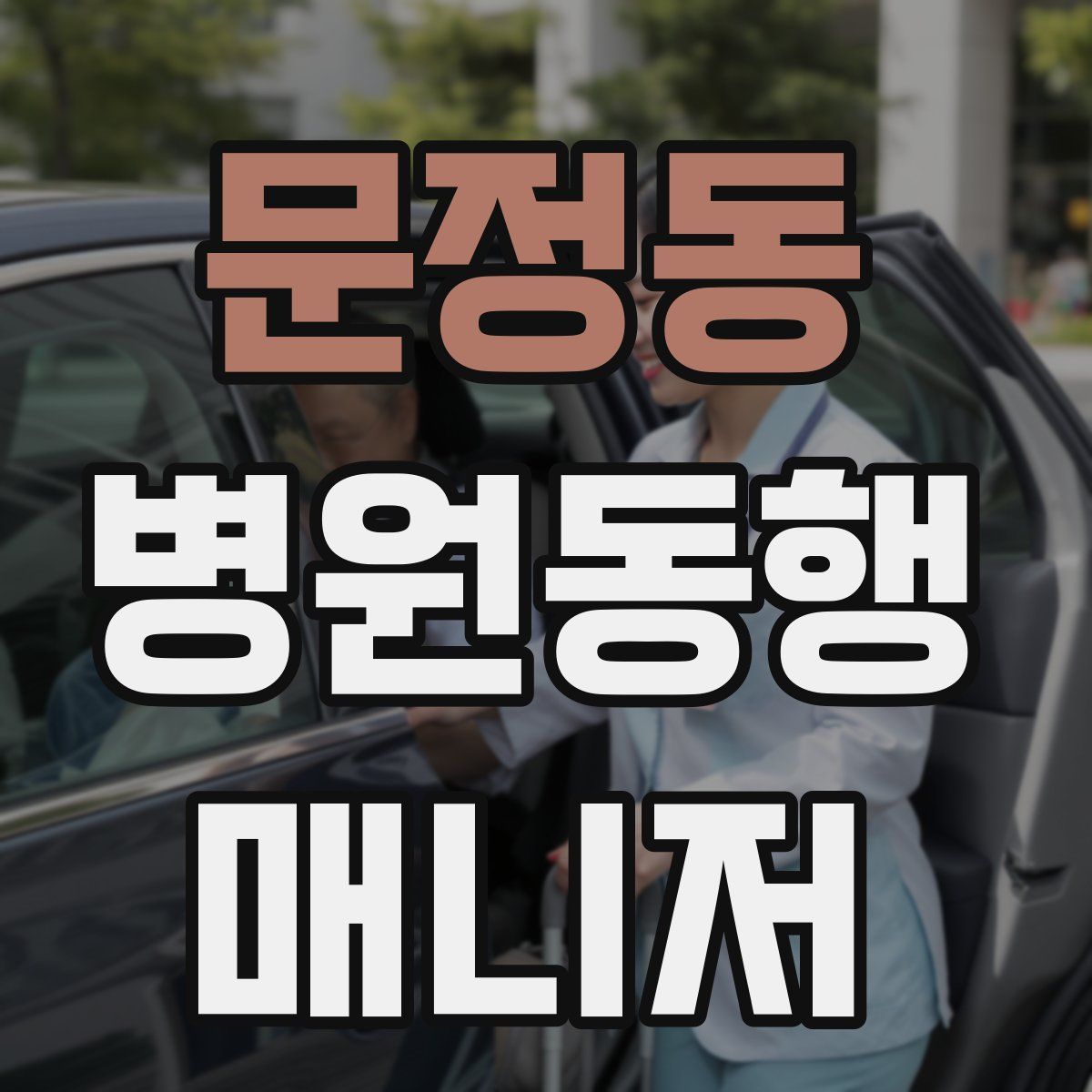 문정동 병원동행매니저 자격증