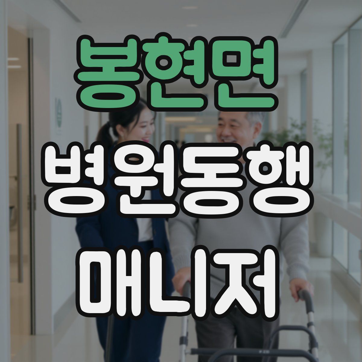 봉현면 병원동행매니저 자격증