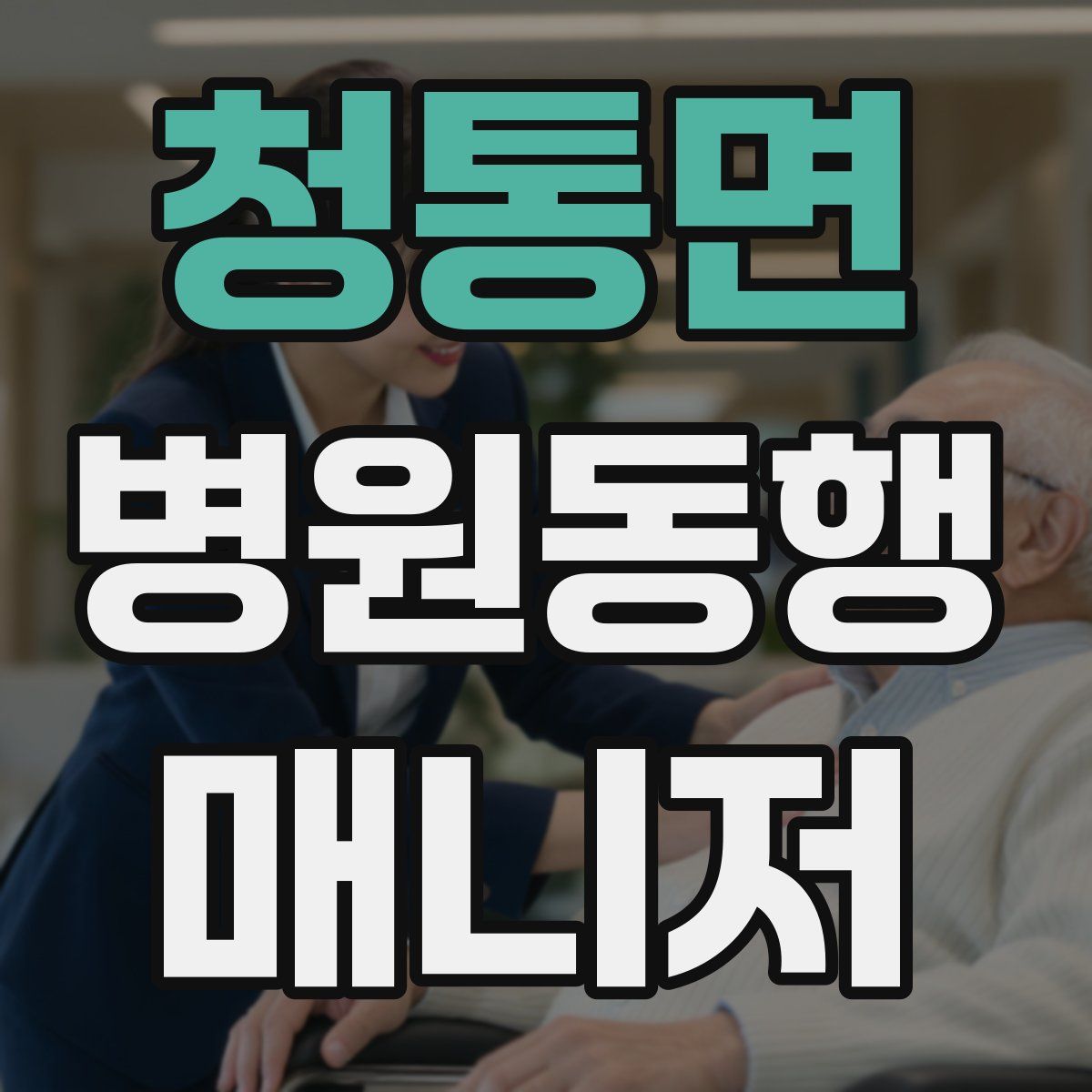 청통면 병원동행매니저 자격증