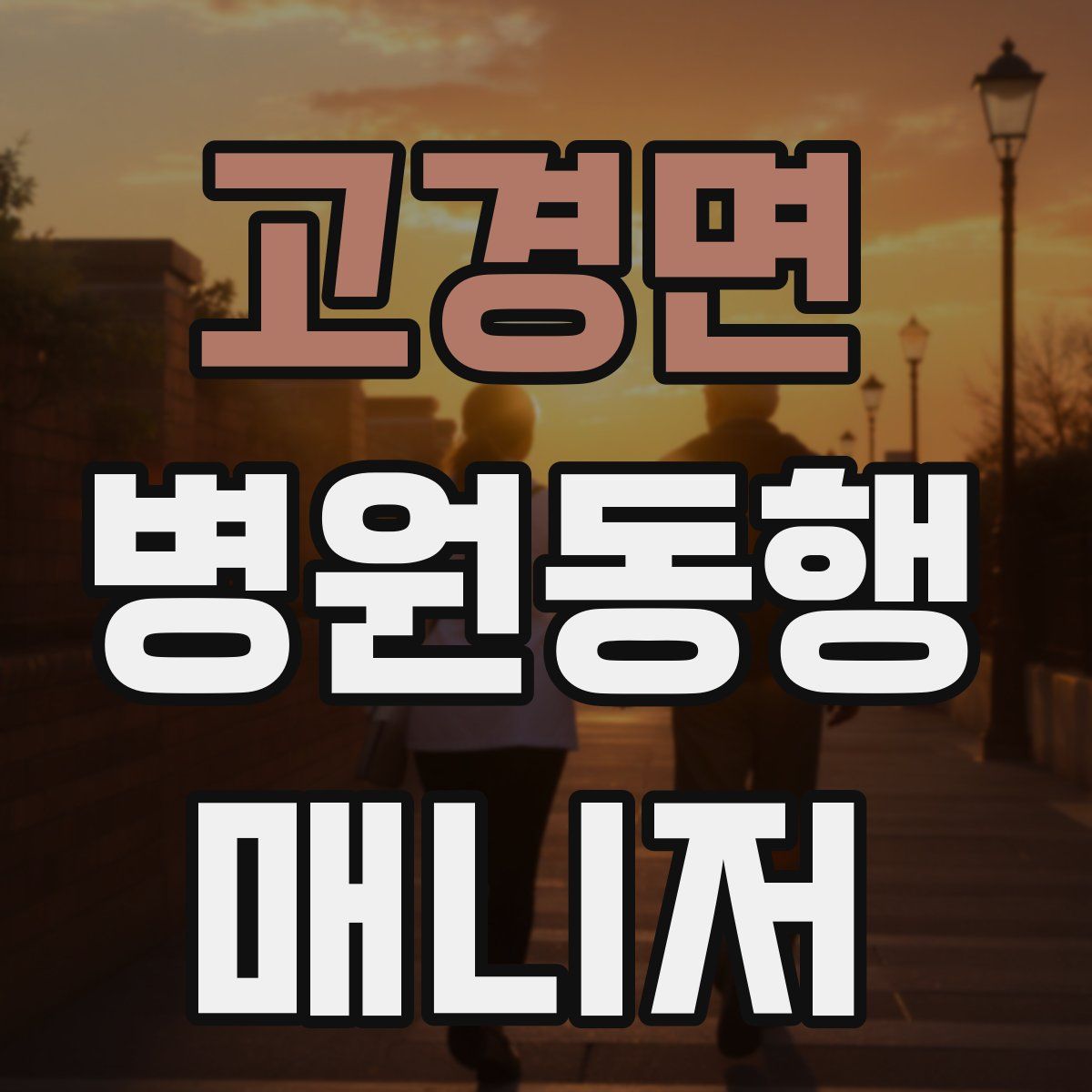 고경면 병원동행매니저 자격증