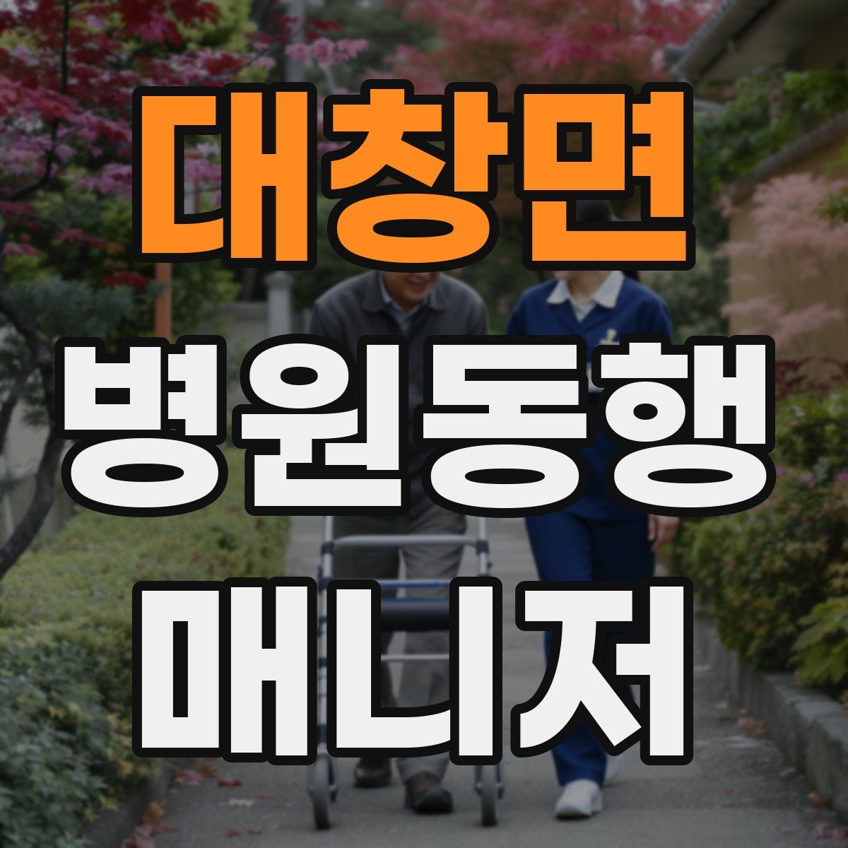 대창면 병원동행매니저 자격증