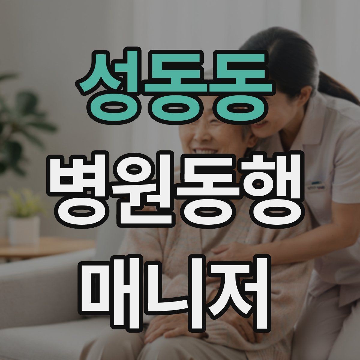 성동동 병원동행매니저 자격증 단기간에 준비하는 현실 루틴
