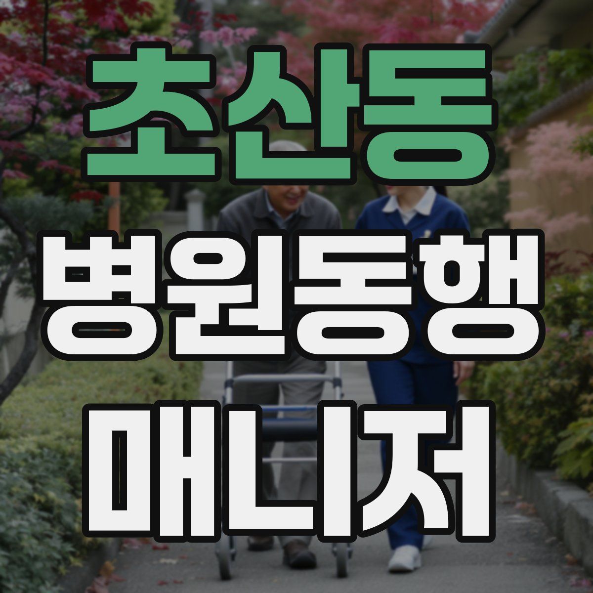 초산동 병원동행매니저 자격증