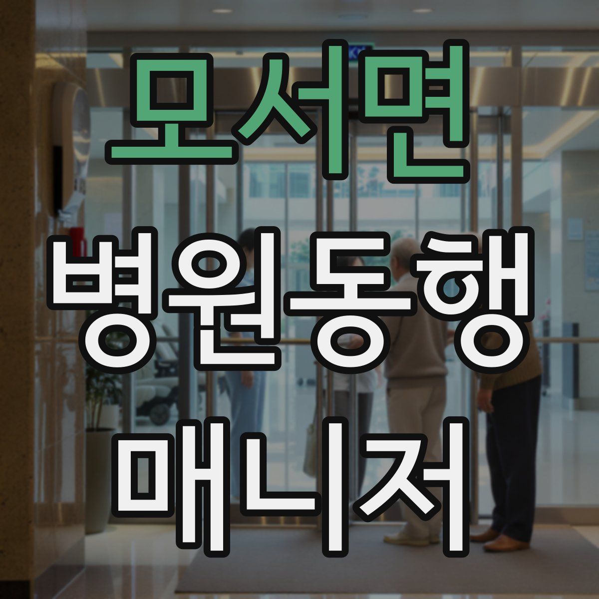 모서면 병원동행매니저 자격증