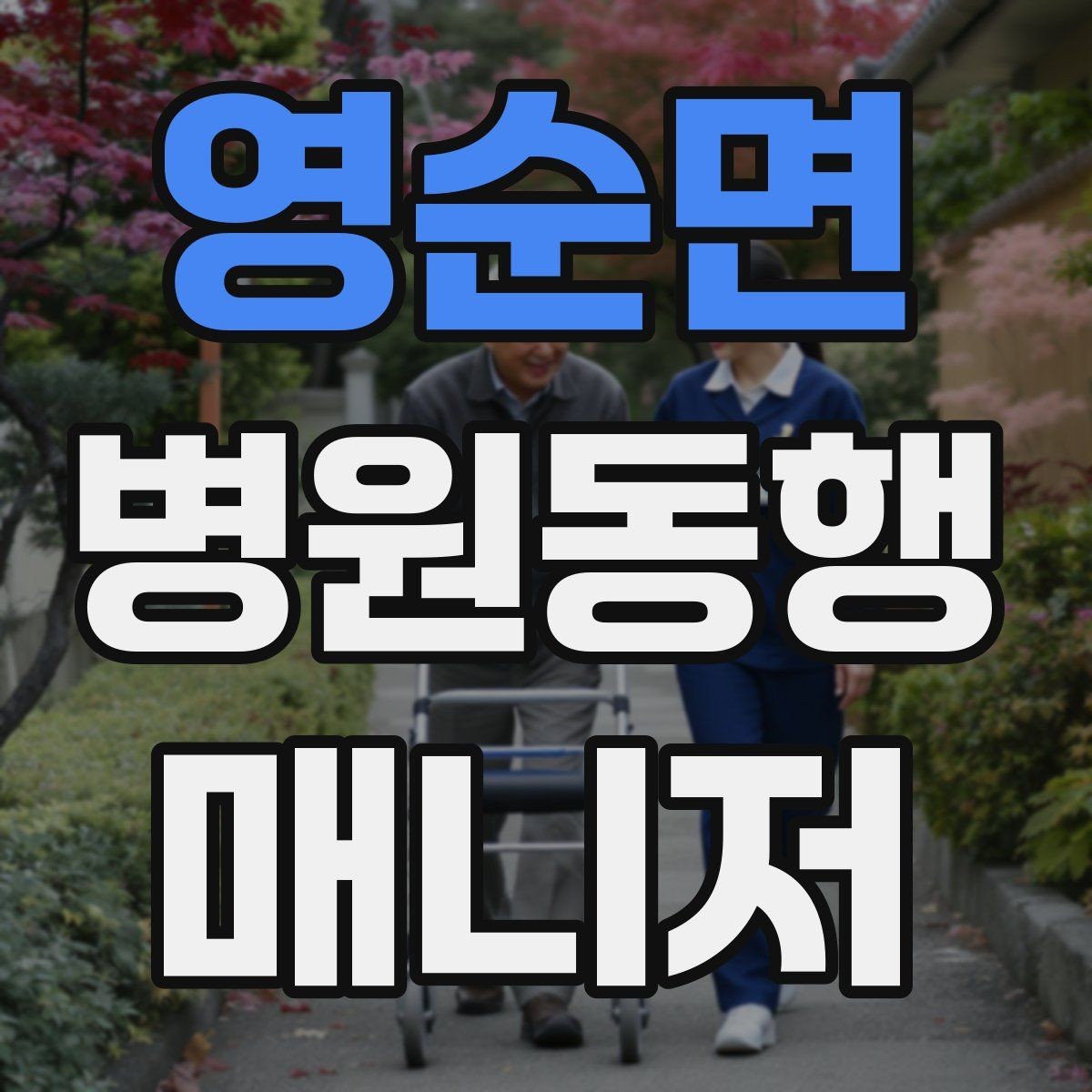 영순면 병원동행매니저 자격증 의료행위와 구분해야 하는 이유