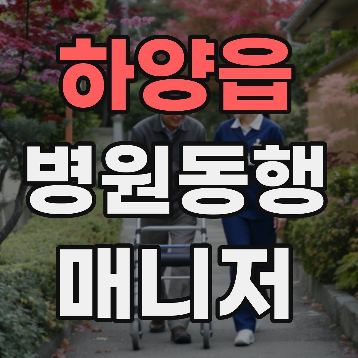 하양읍 병원동행매니저 자격증 보행 보조 도구 사용 시 유의점