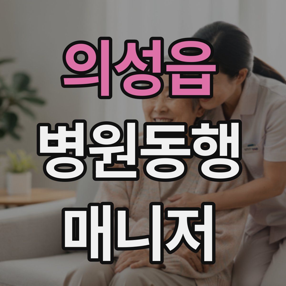 의성읍 병원동행매니저 자격증