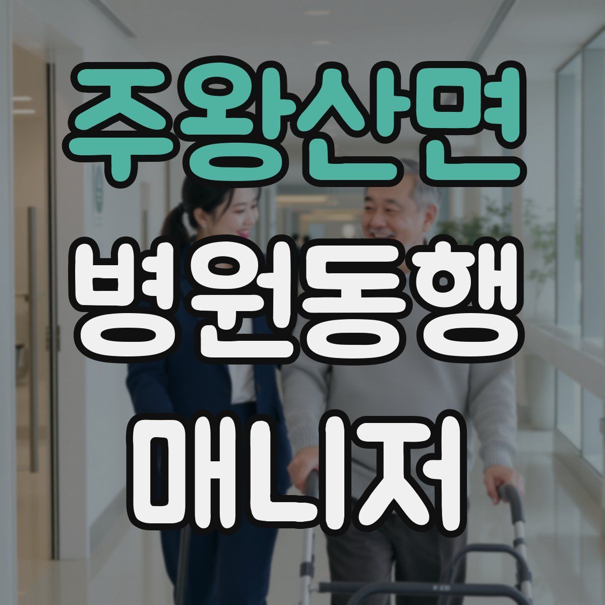 주왕산면 병원동행매니저 자격증