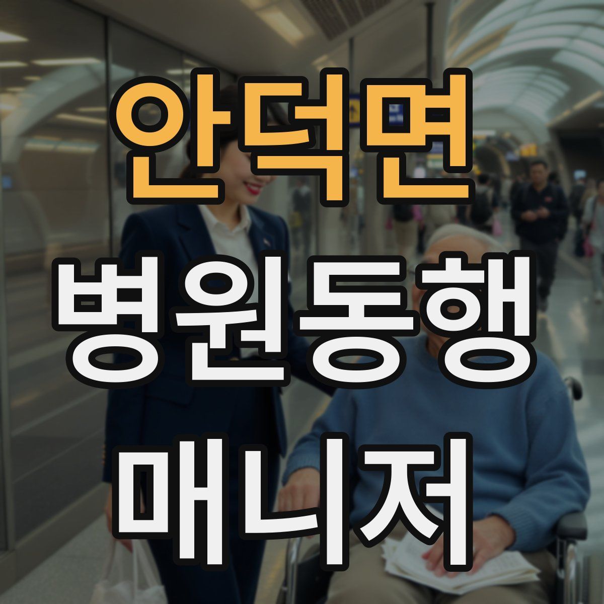 안덕면 병원동행매니저 자격증