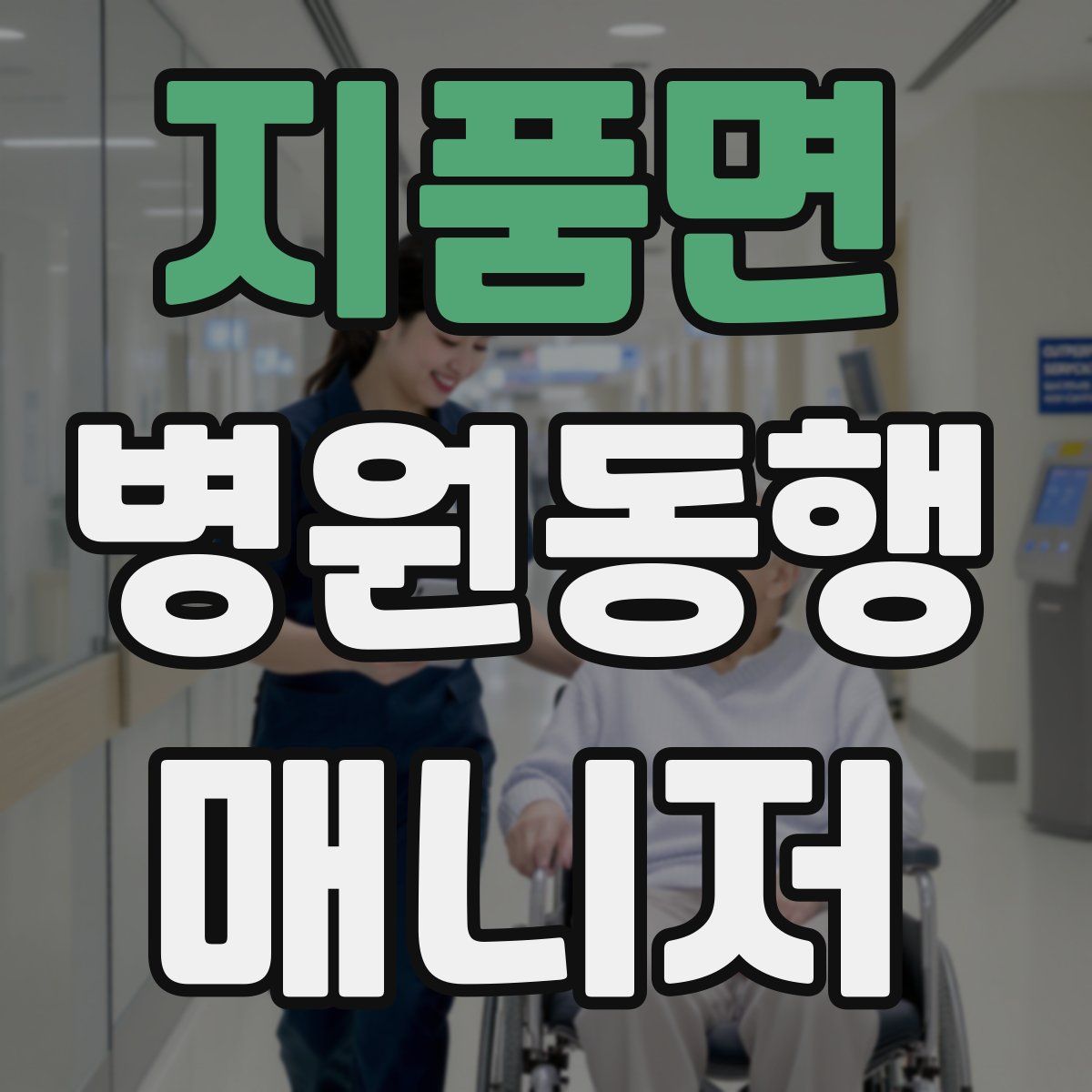 지품면 병원동행매니저 자격증