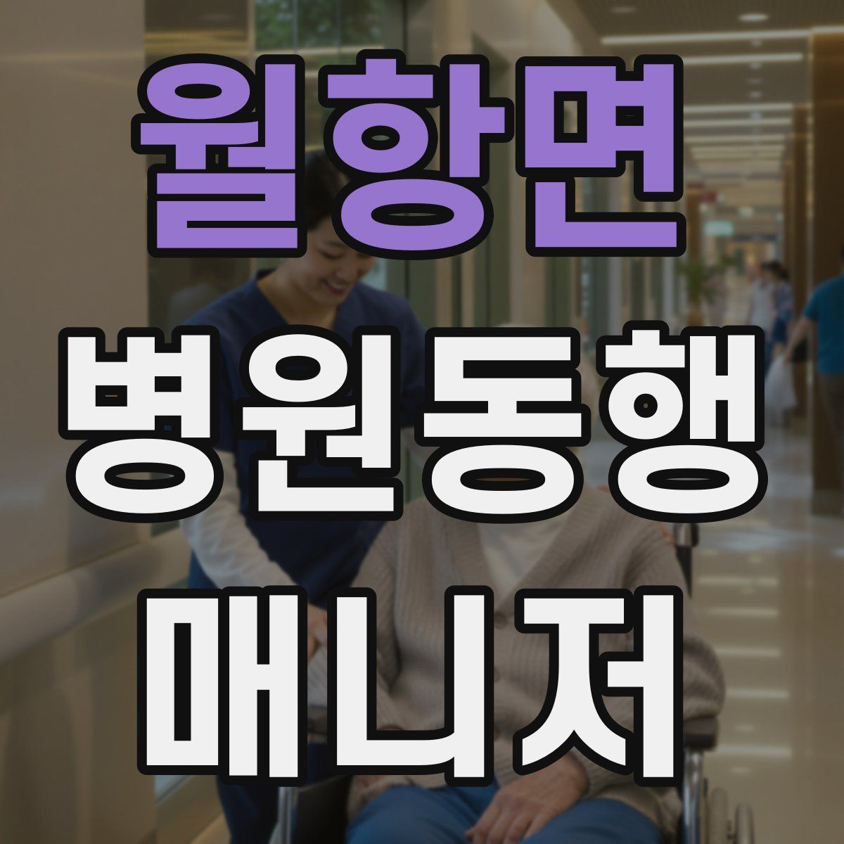 월항면 병원동행매니저 자격증