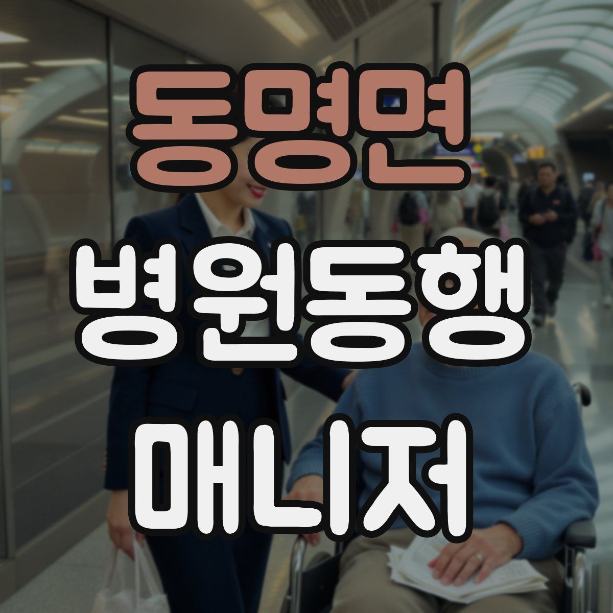 동명면 병원동행매니저 자격증