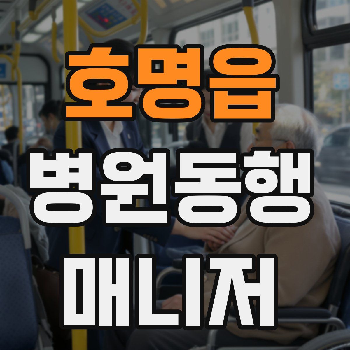 호명읍 병원동행매니저 자격증