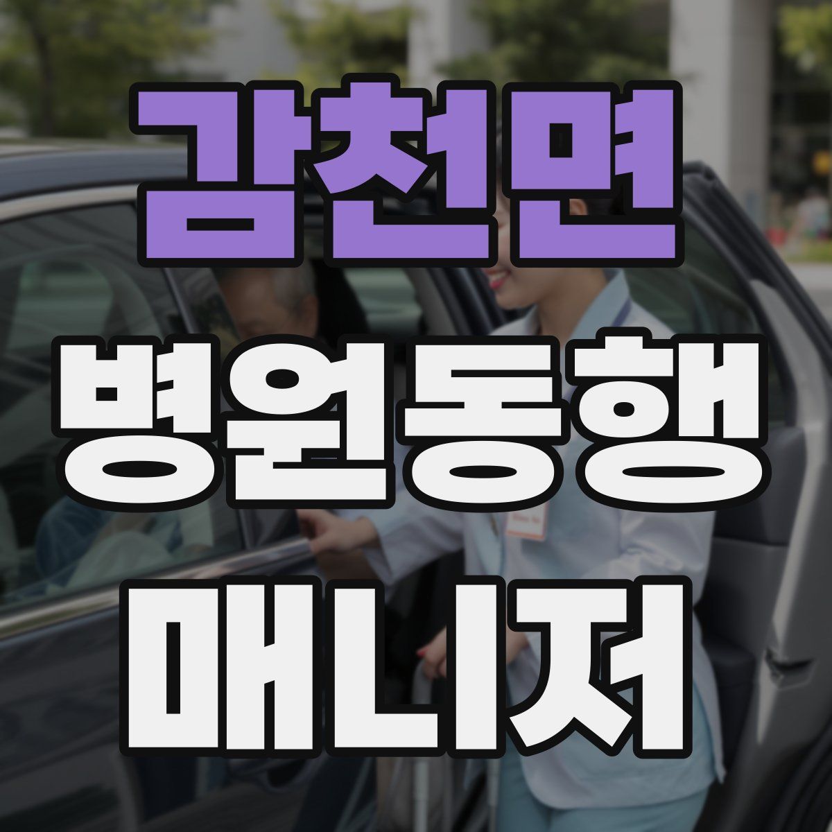 감천면 병원동행매니저 자격증