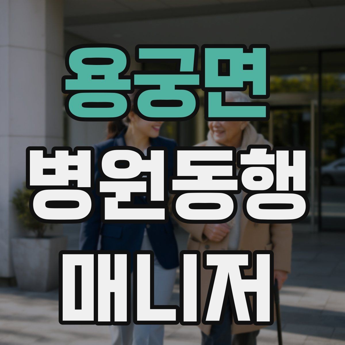 용궁면 병원동행매니저 자격증 약국 동선까지 포함해 계획하는 이유